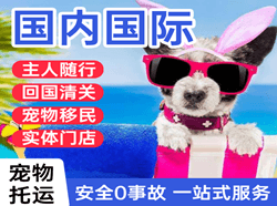 杭州萧山航空货运国际宠物托运 【国